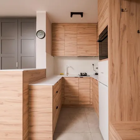 Apartment Wola Anielewicza Stylish Studio Warsaw